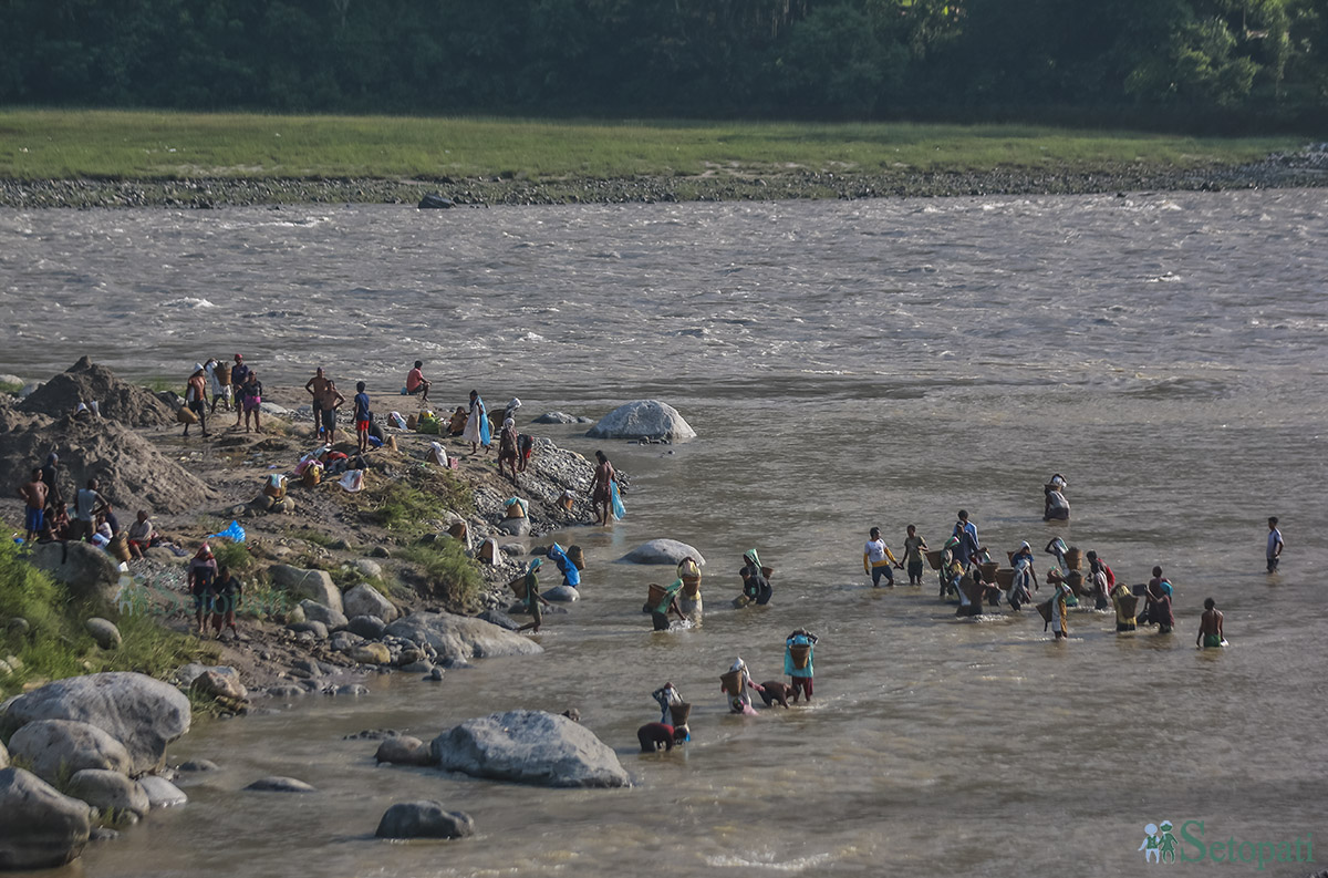 धादिङको त्रिशूली नदीमा बालुवा निकाल्दै मानिसहरू। तस्बिर: नवीनबाबु गुरुङ/सेतोपाटी